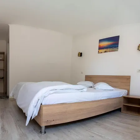 Casa Ana Maria Vama Veche