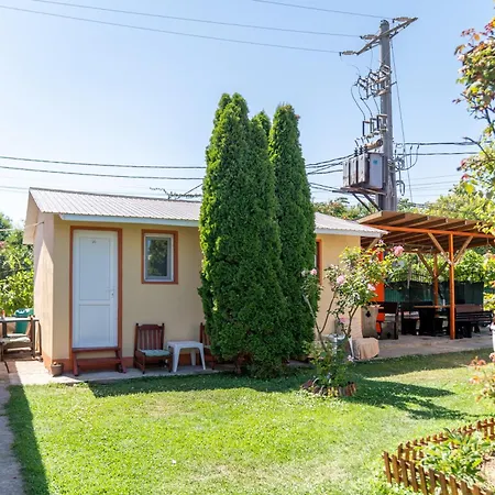 Casa Ana Maria Vama Veche