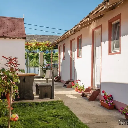 Cabană Casa Ana Maria