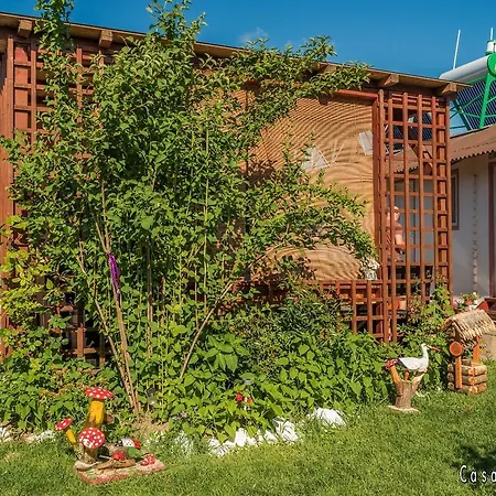 Lodge Casa Ana Maria Vama Veche